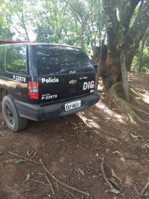 Cães farejadores procuraram por rastros da pequena Ísis Helena