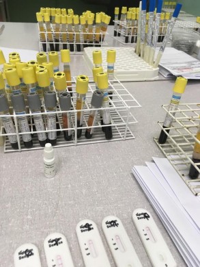 Prefeitura de Mogi Mirim adquire testes rápidos para Covid-19 e H1N1
