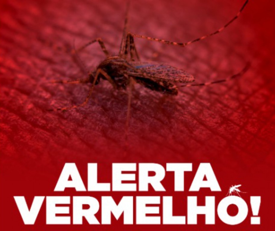 Juntas, Mogi Mirim e Mogi Guaçu somam mais de 3 mil casos de dengue