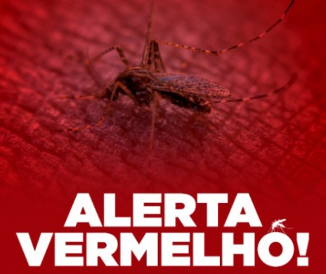 Juntas, Mogi Mirim e Mogi Guaçu somam mais de 3 mil casos de dengue