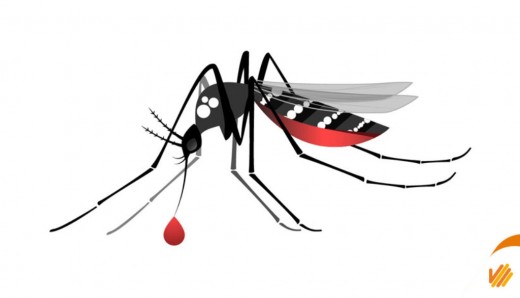 Vigilância Epidemiológica de Mogi Guaçu atualiza dados sobre a dengue