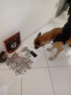Canil da GCM apreende drogas no Mogi Mirim II