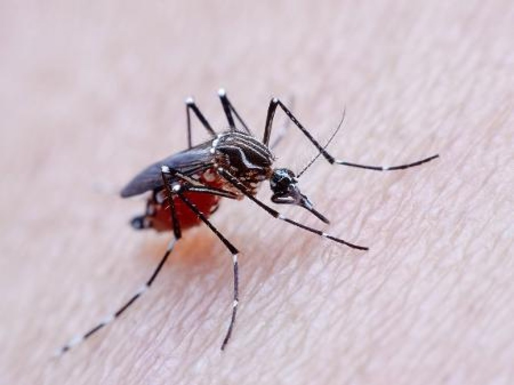 Dengue 'desacelera' em Mogi, 54 casos na última semana