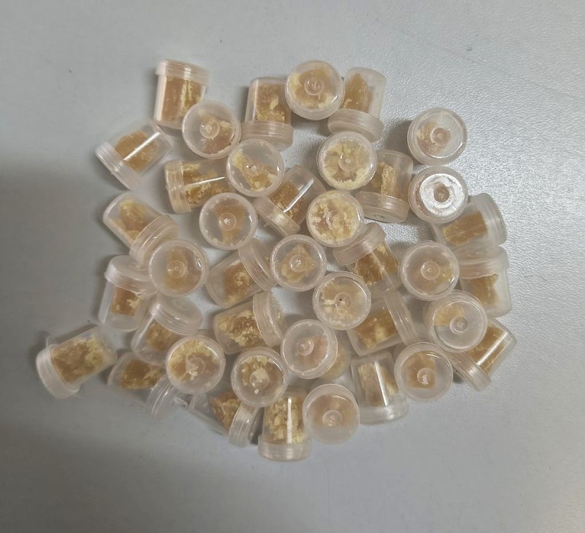 GCM apreende adolescente de 13 anos por tráfico de drogas em Mogi Guaçu