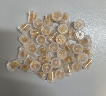 GCM apreende adolescente de 13 anos por tráfico de drogas em Mogi Guaçu
