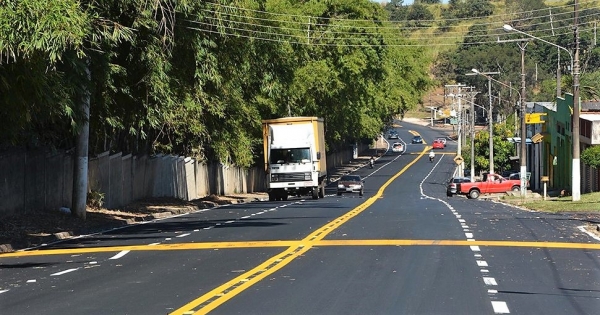 Morte de macaco na zona urbana do Guaçu será investigada