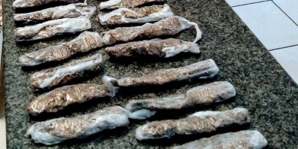 Canil da GCM apreende 45 embalagens com maconha