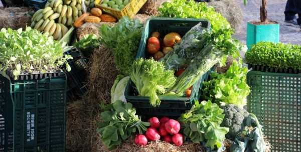 Mogi Mirim sediará eventos na Semana Mundial de Alimentação