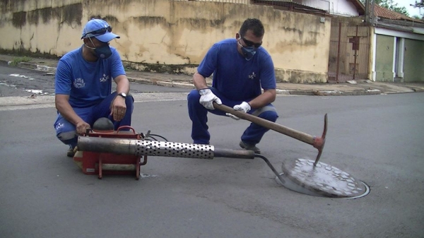 SAAE inicia serviços de dedetização 
