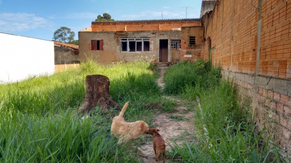 Homem é achado morto em residência abandonada em Mogi Guaçu