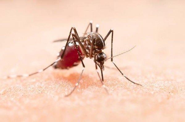 Vigilância Epidemiológica nebulizará parte da Zona Norte de Mogi Guaçu